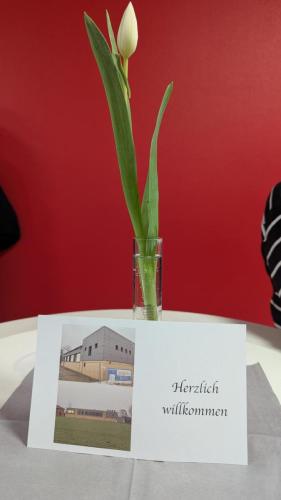 PXL 20250307 113005063