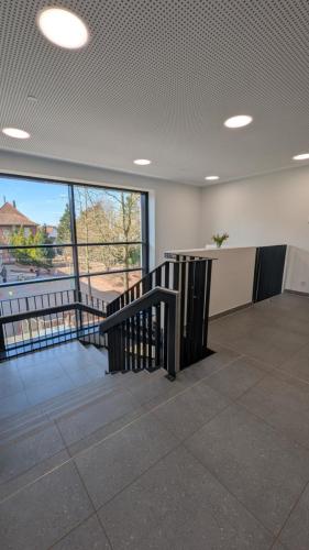 PXL 20250307 115622566