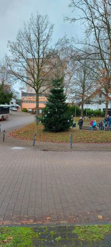 Weihnachtsbaum schmücken 2025
